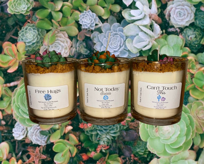 Punny Succulent Soy Wax Candle
