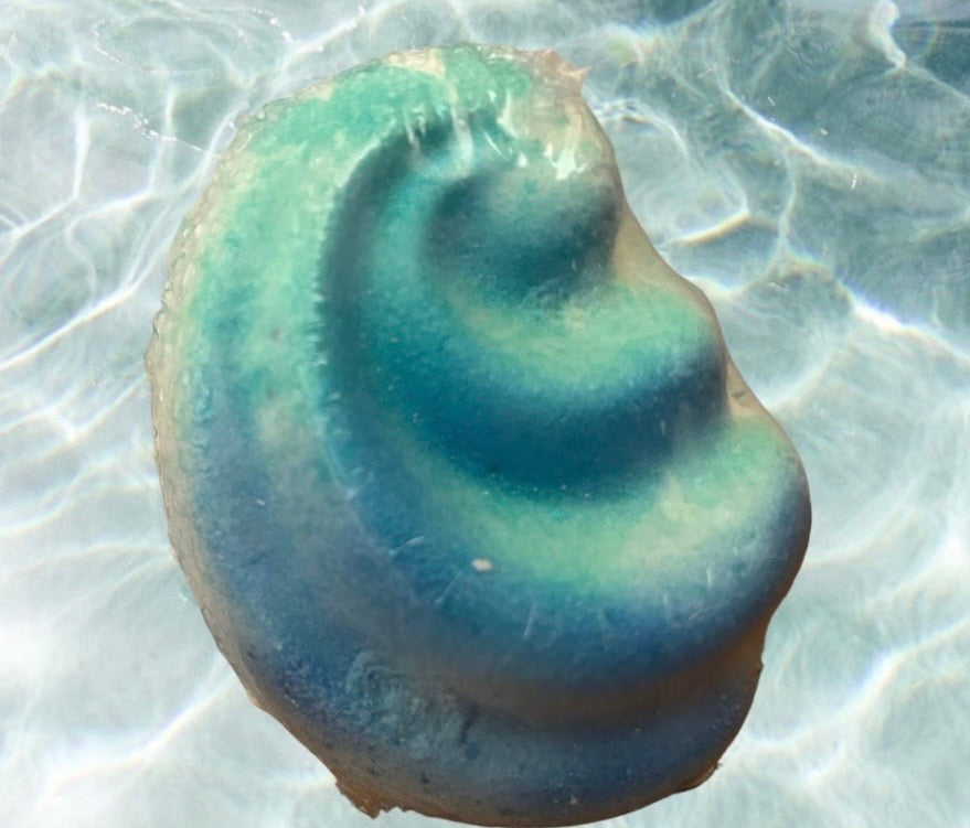 Caribbean Wave Bath Bomb