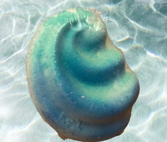 Caribbean Wave Bath Bomb